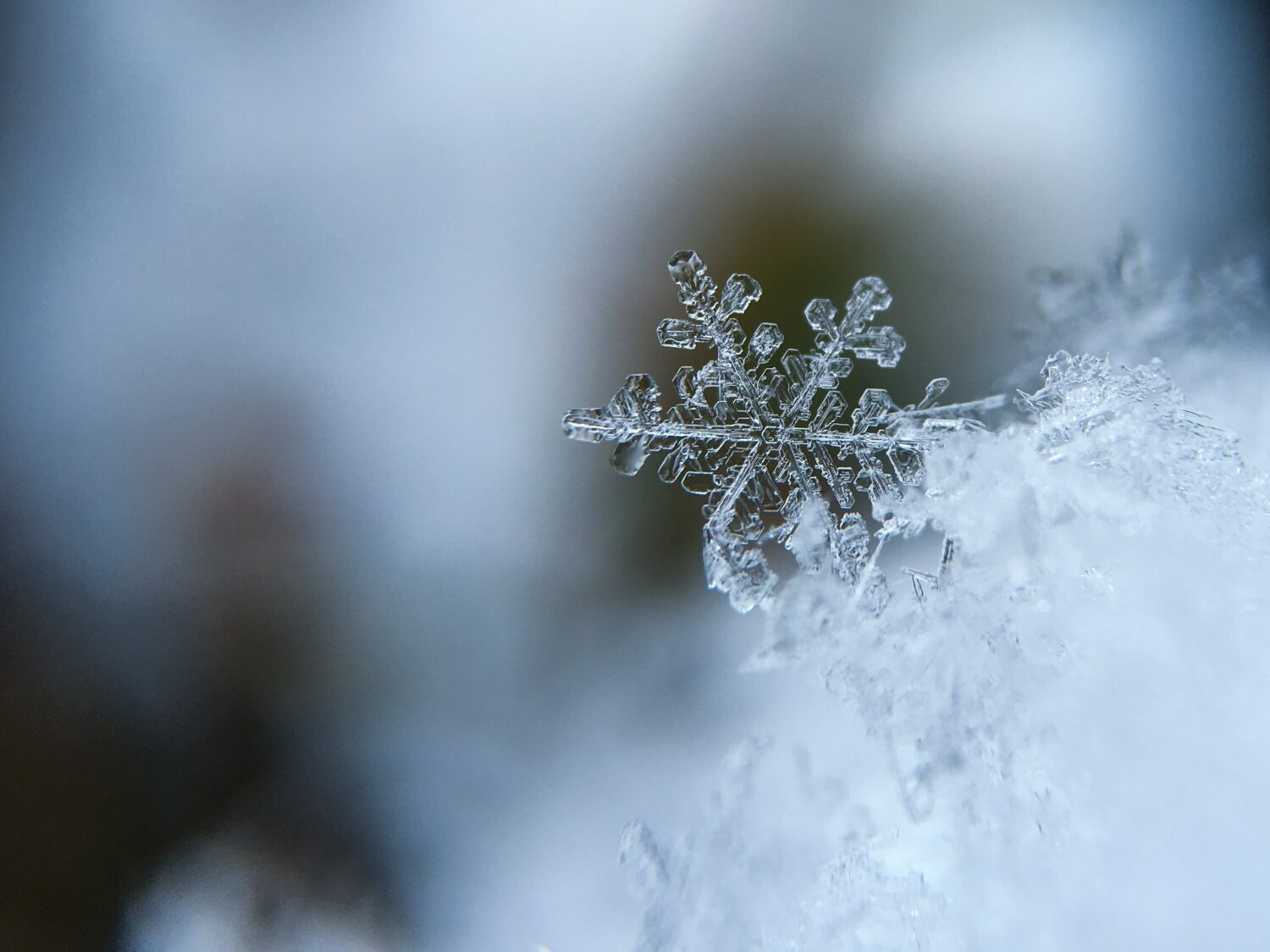 Snöflinga och frost