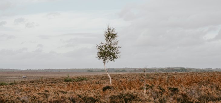 Våra ord visar vad vi tänker, tänker du på vad du säger?